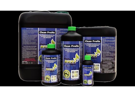 Green Buzz Clean Fruits 500ml