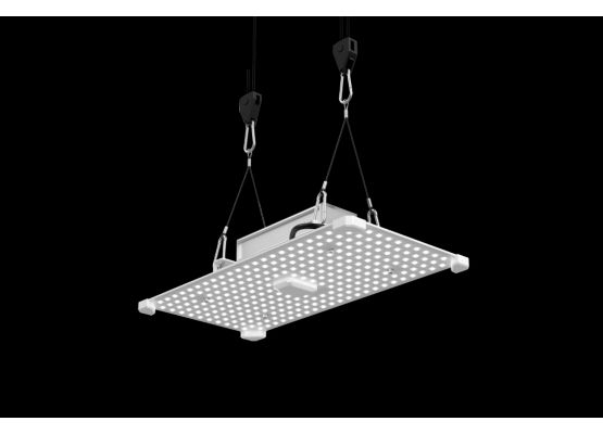 LUMii 100W LED Wachstum hoher Blauanteil