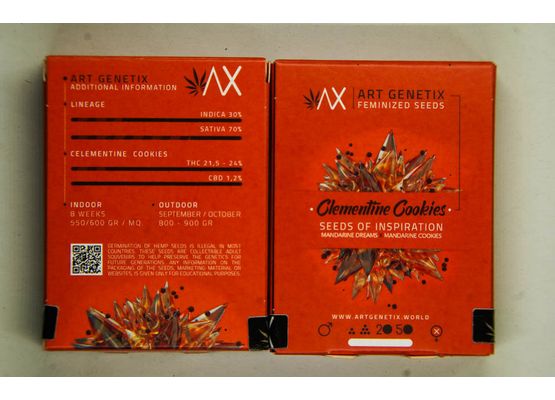 Art Genetix Clementine Cookies (3)