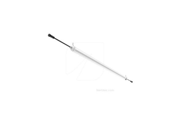Solux 2 x 10W LED Lampe Anzucht / Wachstum