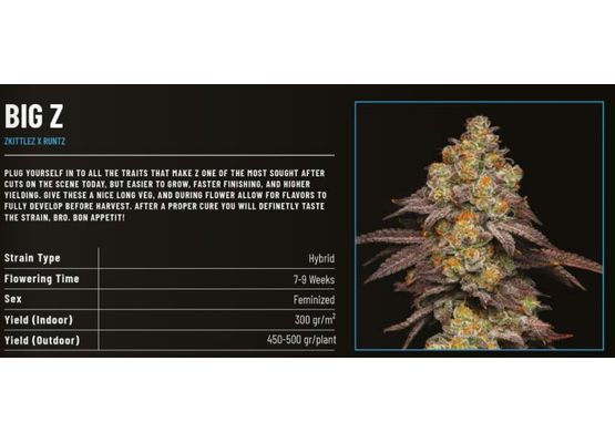Cookies Big Z (3)