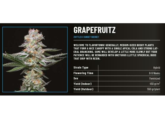 Cookies Grapefruitz (3)