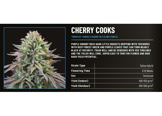 Cookies Cherry Cooks (3)