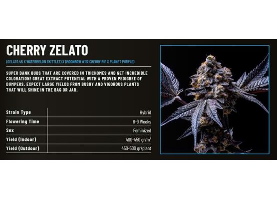 Cookies Cherry Zelato (6)