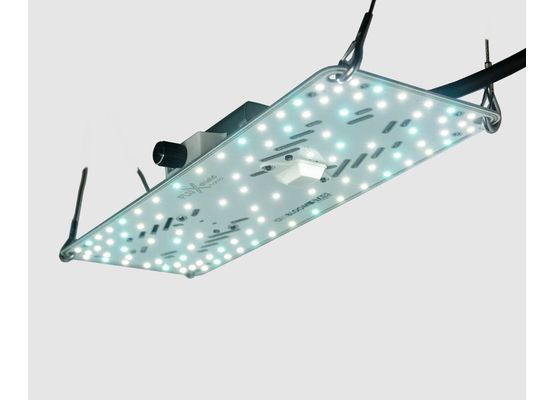 FLUXshield Habibi 140- 50W Wachstum