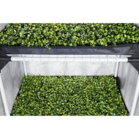 GHP Probox "Propagator L" 60x40x200cm Zelt für Sämlinge, Stecklinge und Sprossenkulturen