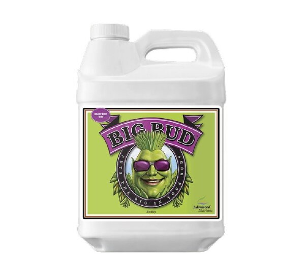 Advanced Nutrients Big Bud Liquid 1,0l