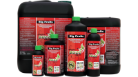 Green Buzz Big Fruits - Standard 500ml