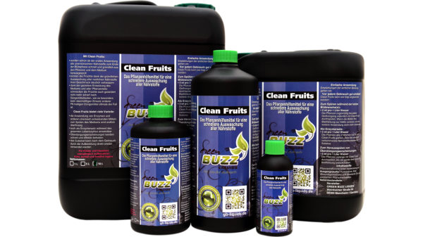 Green Buzz Clean Fruits 500ml