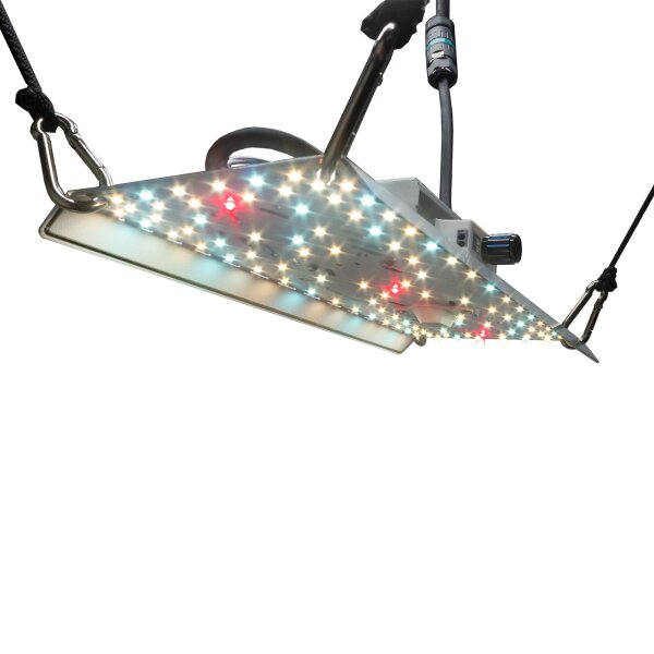 BloomStar FLUXshield Habibi 150 - 50W LED Vollspektrum