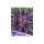 Anesia Seeds Purple Thai (3)